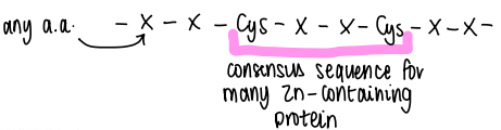 <p>An identifiable sequence of amino acids that coordinate to a metal.</p><p>If a particular amino acid is conserved between many consensus sequences, this means it is an important amino acid for the specific function.</p>