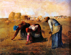 <p>Related to the countryside or areas outside cities</p>
