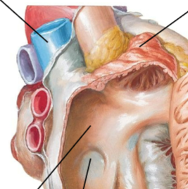 <p>Top right</p>