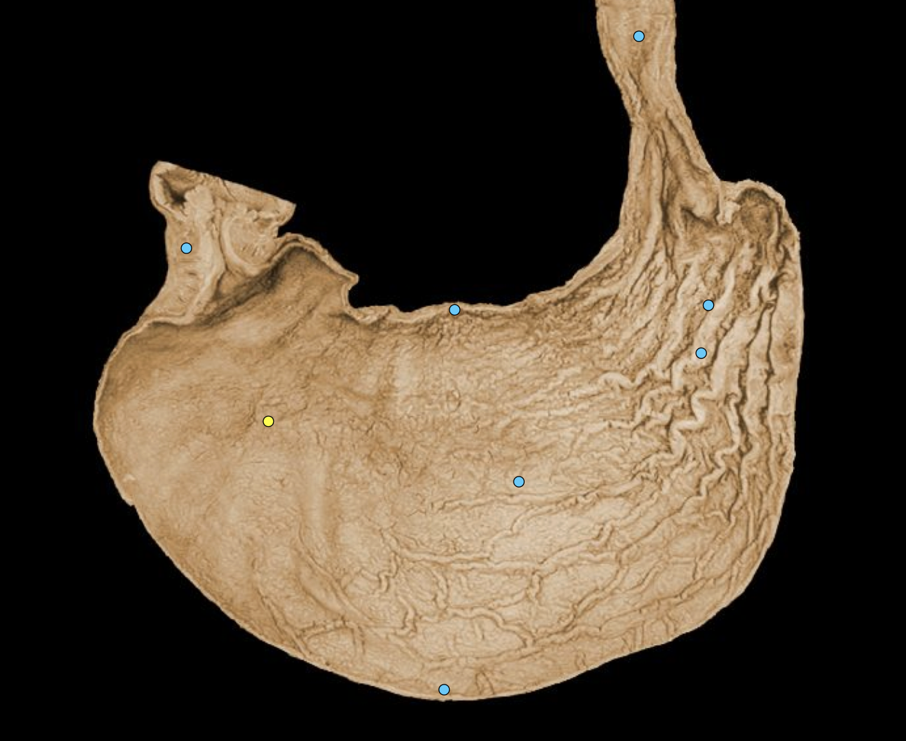 knowt flashcard image