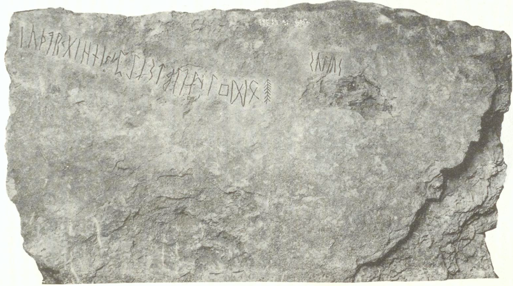 <p><span style="background-color: transparent;">Riporta la sequenza futhark più antica finora conosciuta (V sec.)</span></p>