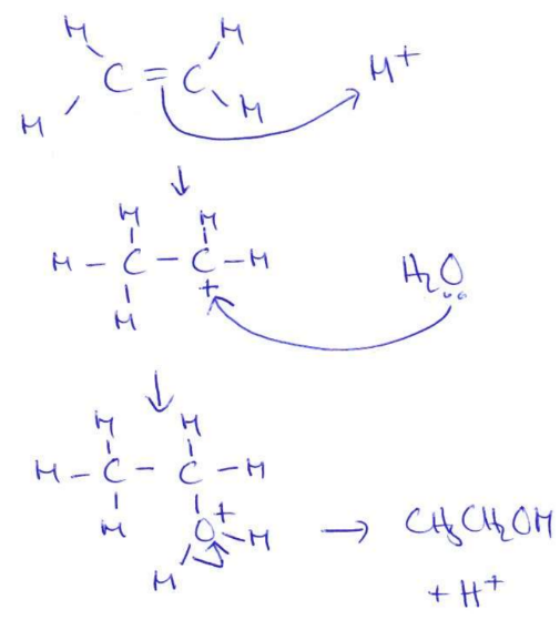 <p>(2) </p><p>(acid catalysed) addition (1) </p>