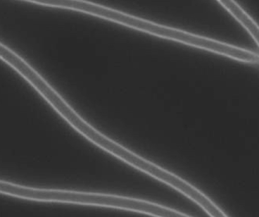 <p>what type of mutant is this?</p>