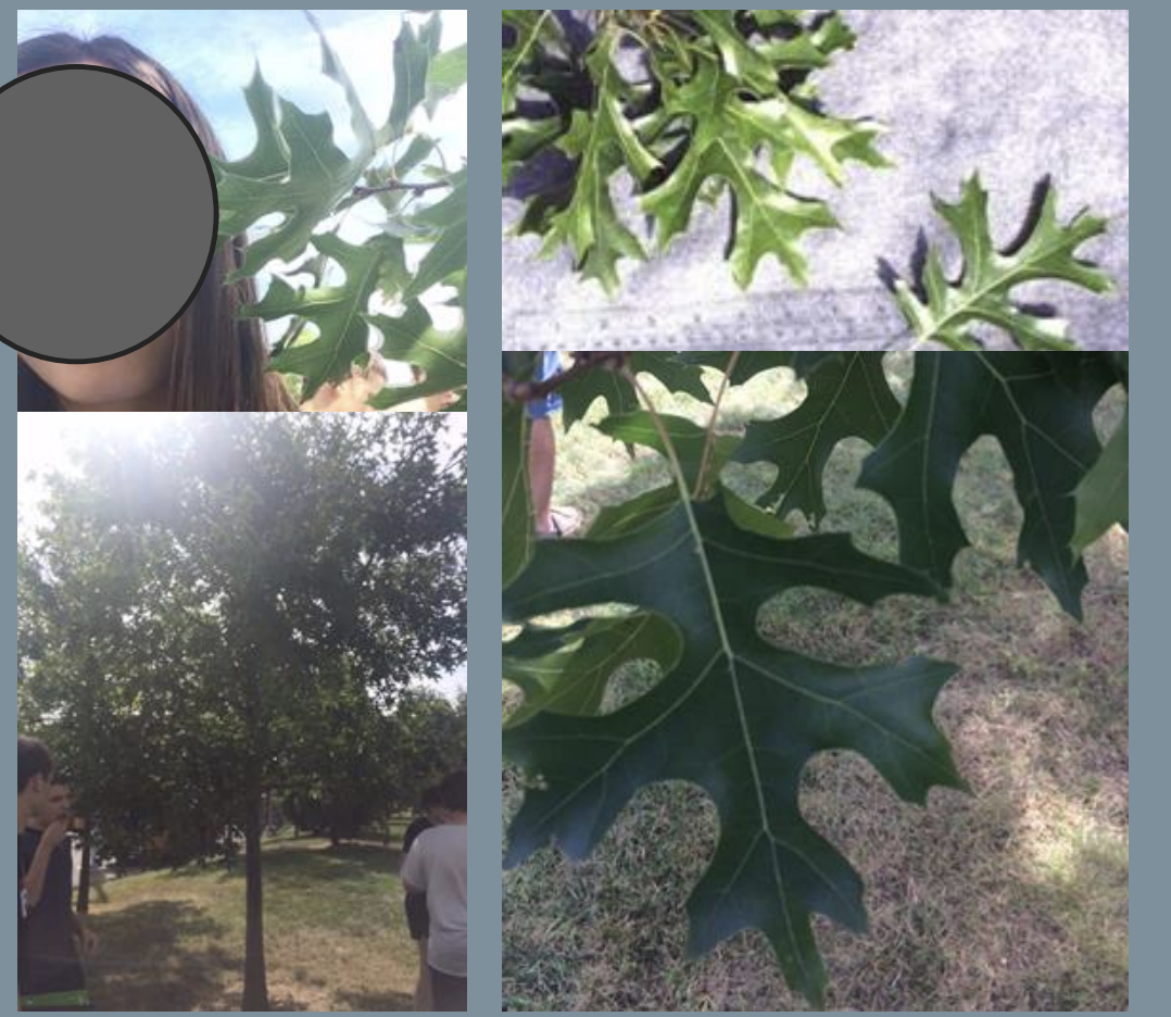 <p></p>