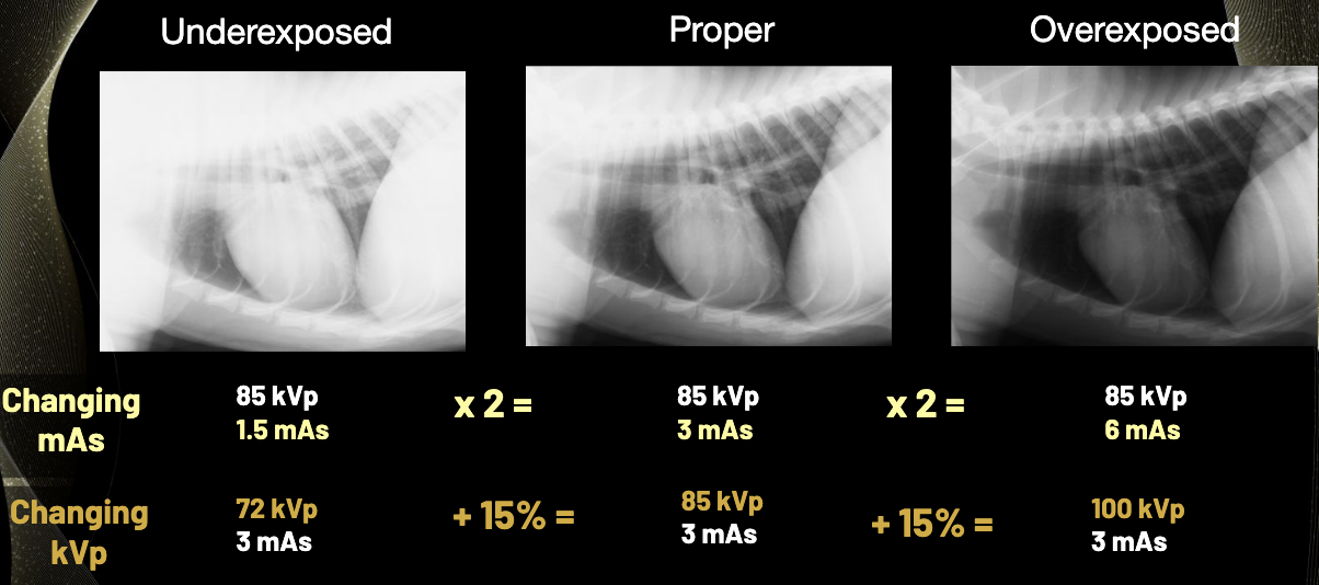 <p>I<span style="color: green;"><strong>ncrease kVp</strong></span> by approximately <strong>15% </strong>and <span style="color: red;"><strong>halve mAs</strong></span></p>