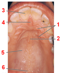 <p>1</p>