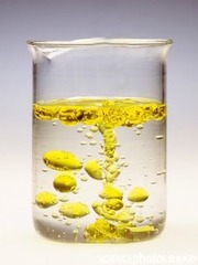 <p>Polarity</p>