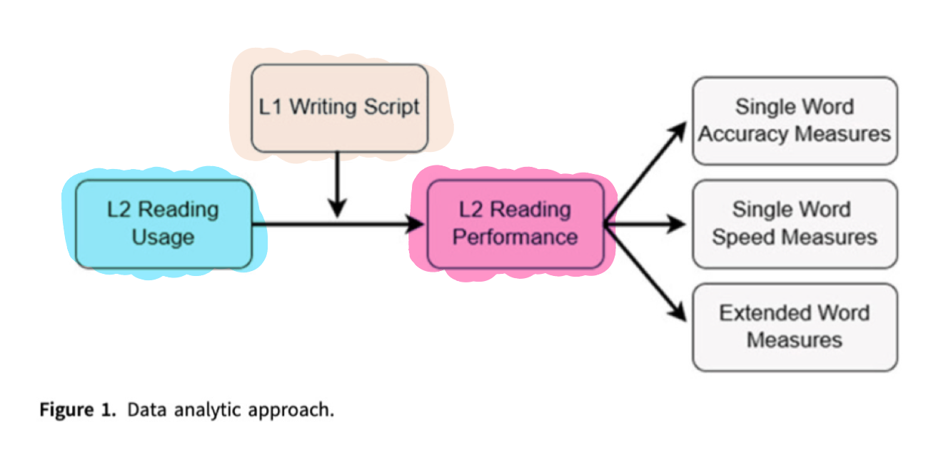 <ul><li><p>if you read more in L2, you’ll be better at your L2</p></li><li><p>but the experiment wanted to see to what extent is the relationship between <mark data-color="blue" style="background-color: blue; color: inherit;">L2 usage</mark> and <mark data-color="red" style="background-color: red; color: inherit;">reading performance</mark> impacted by <mark data-color="yellow" style="background-color: yellow; color: inherit;">L1 script difference</mark></p></li></ul><p></p>