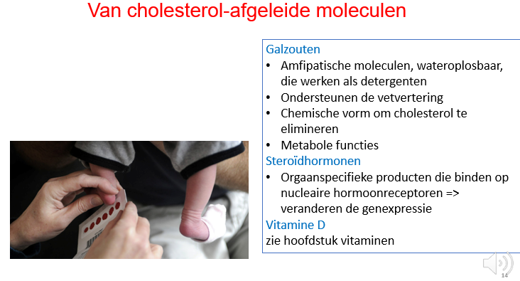 <p><span>Steroïdhormonen:</span></p><p style="text-align: left;"></p><p style="text-align: left;"><span>Bewegen door het bloed gebonden aan eiwitten, want zijn niet goed wateroplosbaar.</span></p><p style="text-align: left;"></p><p style="text-align: left;"><span>Na diffusie door de membraan zullen ze binden aan receptoren die dan de genexpressie of een gecoördineerd programma van veranderde genexpressie zullen uitrollen in de doelwitcellen.</span></p>