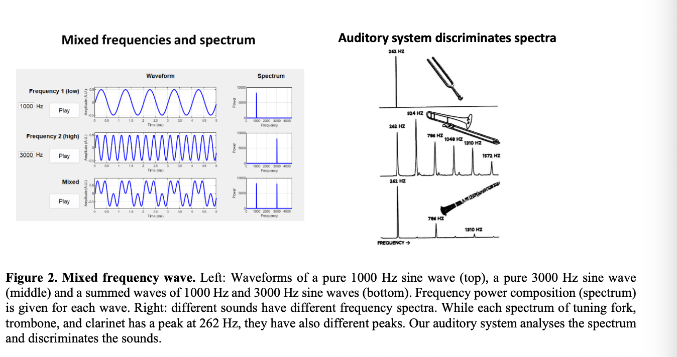<ul><li><p>sets of multiple frequencies </p></li><li><p>at different ampltitudes</p></li></ul><p></p>