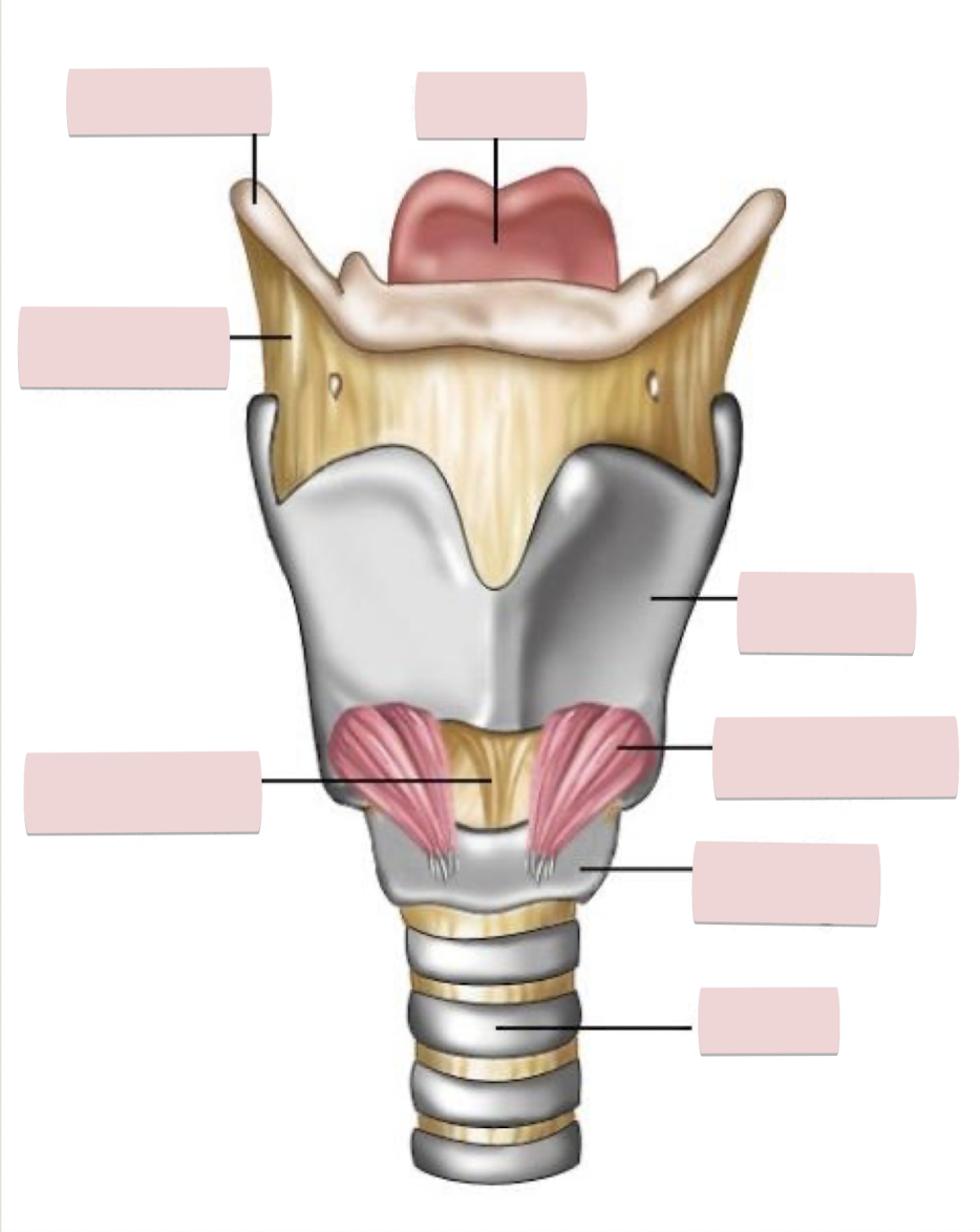 <p>Label the figure</p>