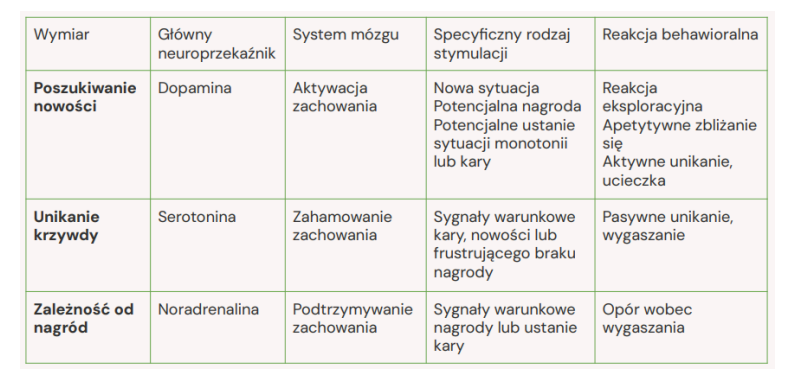 <ul><li><p>Poszukiwanie nowości </p></li><li><p>Unikanie krzywdy </p></li><li><p>Zależność od nagród </p></li><li><p>Wytrwałość (wymiar dodany po kilku latach przez Cloningera, Svrakica i Przybecka)</p></li></ul><p></p>