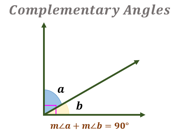<p>two angles whose sum is 90 degrees</p>