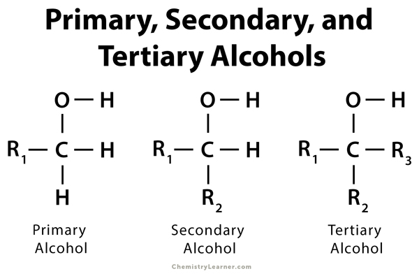 <p>the OH is attached to a primary carbon. </p>