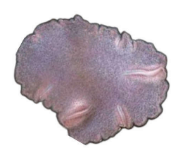 <p></p>