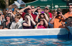 <p>a person who watches something, such as a sporting event</p>
