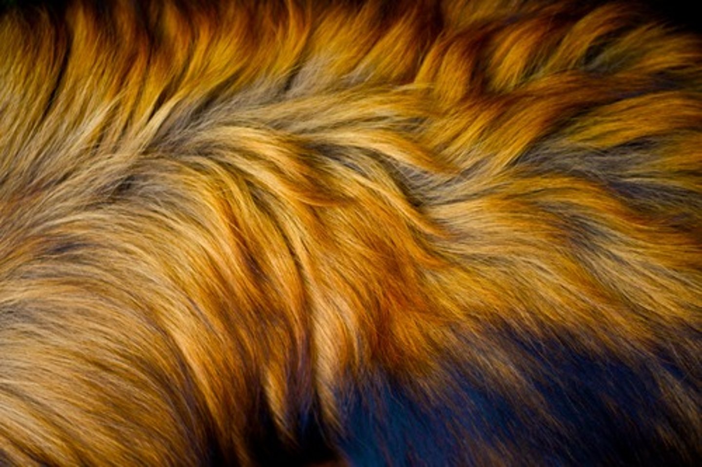 <p>мех</p>