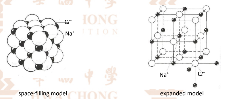 <p>Note: Cl<sup>-</sup> ion is larger than Na<sup>+</sup> ion as Na<sup>+</sup> loses an electron, which reduces its shielding effect, making the attraction between the valence electrons and the nucleus stronger so it has a smaller radius</p>