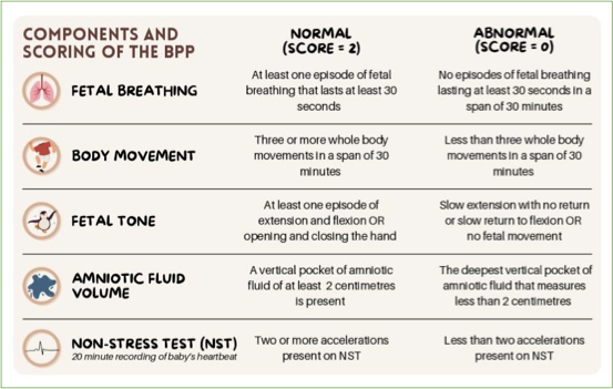 <ul><li><p>assessment of fetal wellbeing, scored out of 8</p></li><li><p>commonly performed after 28wks in 3rd tri.</p></li><li><p>fetus has 30 mins to demonstrate each parameter to receive all points</p></li></ul><p><strong>parameters used (each /2 = /8):</strong></p><ol><li><p>fetal movement</p></li><li><p>fetal tone</p></li><li><p>fetal respiration</p></li><li><p>amniotic fluid</p></li></ol><p><strong>additional parameter (making score /10):</strong></p><ol><li><p>non-stress test (NST)</p></li></ol><p>—</p><p><strong>clinical indications:</strong></p><ul><li><p>diabetes</p></li><li><p>HTN</p></li><li><p>renal disease</p></li><li><p>asthma</p></li><li><p>multiples</p></li><li><p>current concerns</p></li><li><p>past pregnancies w/ concerns</p></li><li><p>past due date (>41 wks GA)</p></li></ul><p><strong>primarily tests for:</strong></p><ul><li><p>asphyxia</p></li><li><p>low cord pH</p></li><li><p>cerebral palsy</p></li><li><p>stillbirth</p></li></ul><p></p>