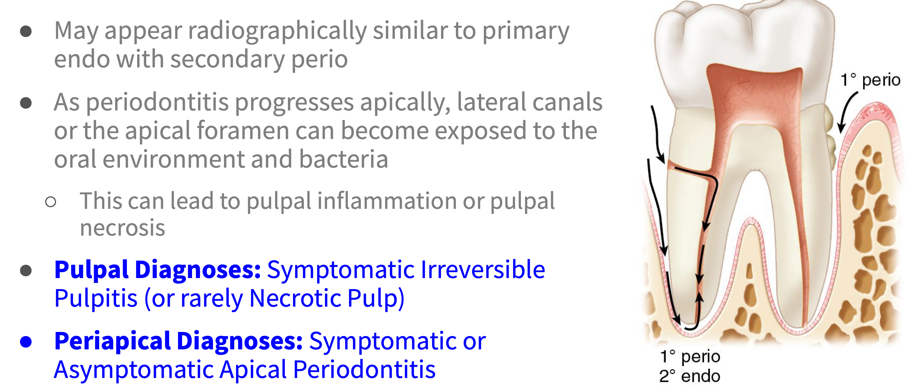 <p>What type of lesion?</p>