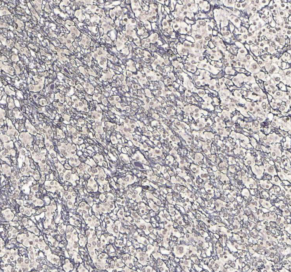 <img src="https://assets.knowt.com/user-attachments/9dd4556e-3c9e-4617-bcda-f5c40d7f9257.png" data-width="100%" data-align="center" alt="knowt flashcard image"><p></p>