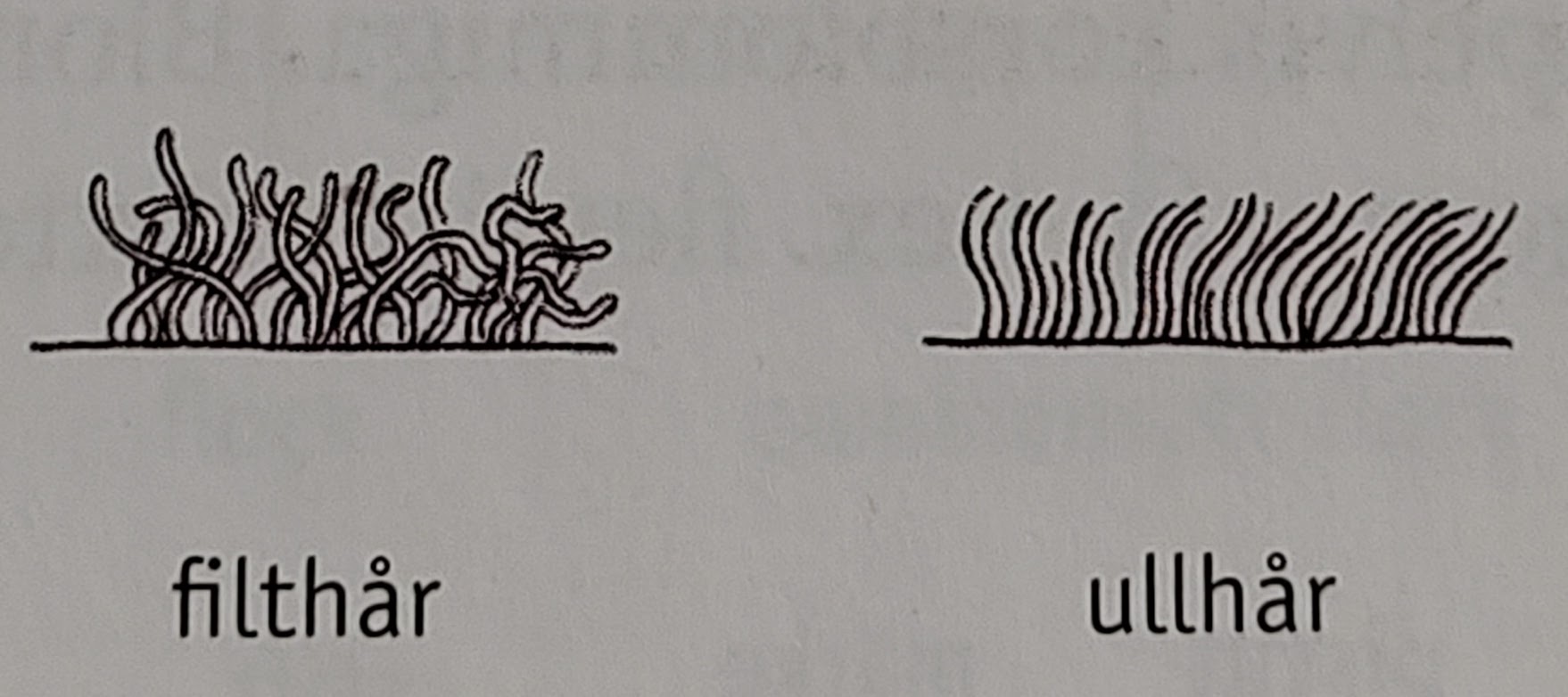 <p></p>