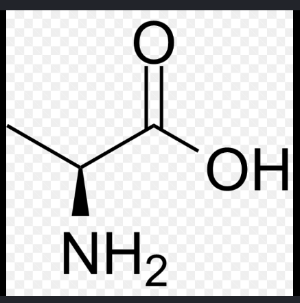 <p>name this amino acid</p>