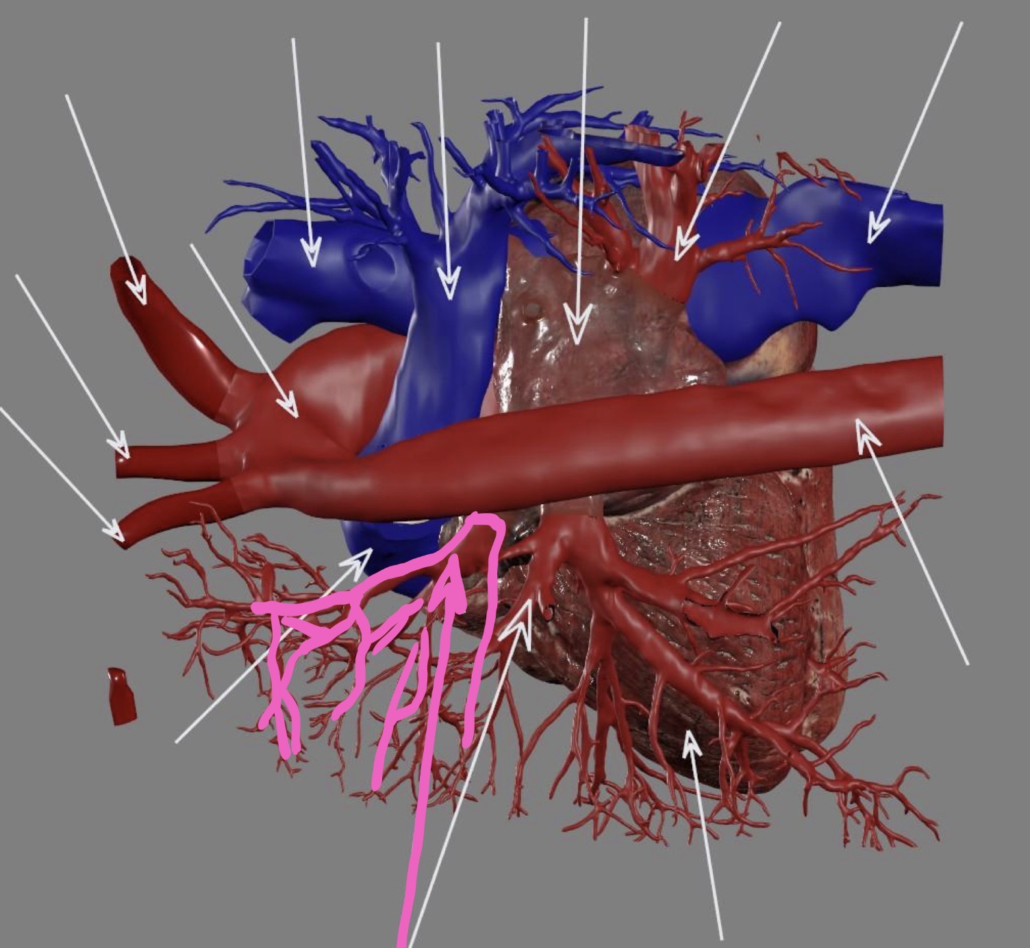 <p>What’s the highlighted area?</p>