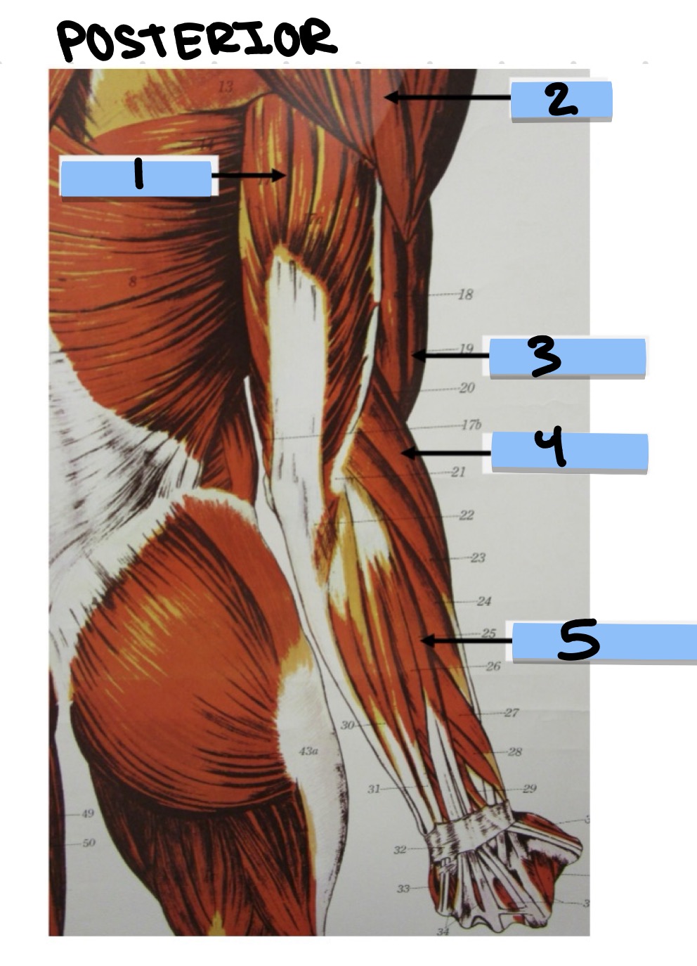 <p>1</p>