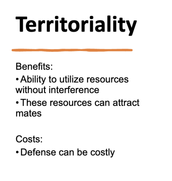 <p>benefits: </p><p>exclusive food access → higher survival </p><p>better nesting sites → higher reproductive success</p><p>in many species, females choose males based on territory quality </p><p>ex: male three-spined sticklebacks defend nesting sites; females prefer better territories </p><p>Costs:</p><p>energy expenditure (fighting, patrolling, etc.)</p><p>risk of injury</p><p>time lost for feeding </p><p>ex: lizards that defend territories often have reduced foraging time </p>