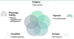 <p>• Analgesia: Pain Control</p><p>• Hypnosis: Unconsciousness</p><p>• Amnesia: No memory</p><p>• Immobility: Muscle relaxation</p><p>• Physiologic Stability: Maintain oxygenation and hemodynamics</p>