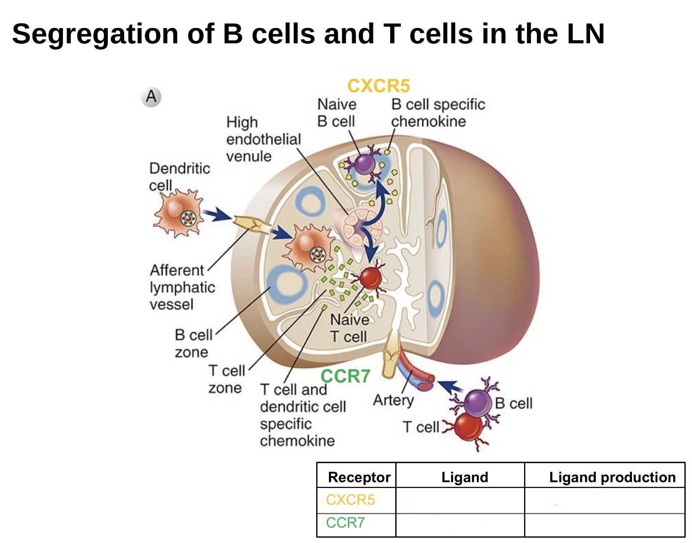 <p>Fill in table blanks</p>