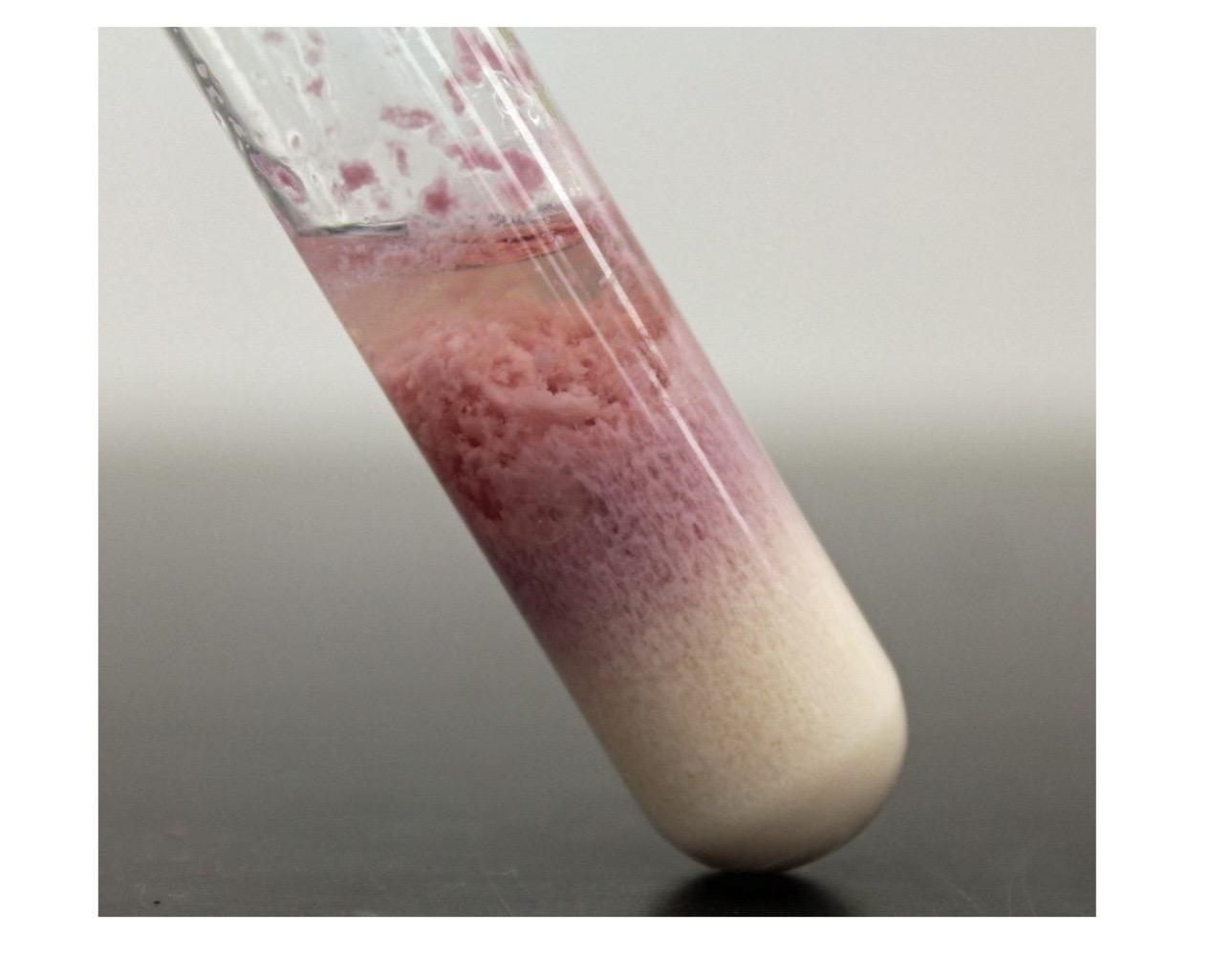 <p>Answer the following using the tube above.</p><p>A. What test is shown here? </p><p>B. Identify the reactions in the tube. </p>