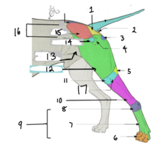 <p>17</p>
