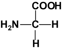 <p>aliphatic, simplest r group</p>
