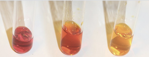 <p>the ability to oxidize glucose into acidic end products through glucose fermentation</p>