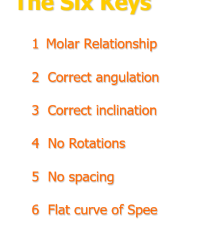 <ul><li><p>molar relationship</p></li><li><p>correct angulation</p></li><li><p>correct inclination</p></li><li><p>no rotations</p></li><li><p>no spacing</p></li><li><p>flat curve of spree </p></li></ul><p></p>