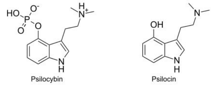 <p>Identifica o composto e diz:</p><ul><li><p>Qual a classe </p></li><li><p>O biopercursor/ via de síntese </p></li><li><p>Ação farmacológica e o mecanismo associado</p></li><li><p>Diferença entre as duas</p></li></ul><p></p>