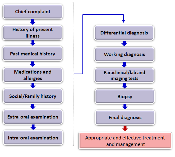 <ol><li><p>chief complaint</p></li><li><p>history of present illness</p></li><li><p>past medical history</p></li><li><p>medications and allergies</p></li><li><p>social/ family history</p></li><li><p>extra-oral examination</p></li><li><p>intra-oral examination</p></li><li><p>differential diagnosis</p></li><li><p>working diagnosis</p></li><li><p>paraclinical / lab and imaging tests </p></li><li><p>biopsy</p></li><li><p>final diagnosis</p></li><li><p>appropriate and effective treatment and management </p></li></ol><p></p>