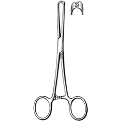 <p></p><p>Example: The doctor used surgical _____ to hold the tissue. </p><p>A handheld instrument used in medicine to grasp objects. <br>US: /ˈfɔːr.seps/UK: /ˈfɔː.seps/ </p><p>Kẹp y tế / Panh Kẹp dùng trong y khoa/phòng thí nghiệm (thường có nấc khóa).</p>