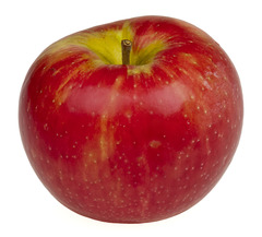 <p>yìkē</p><p>a measure word for something round (e.g. fruit 水果, candy 糖果)</p>