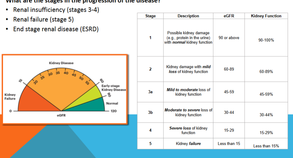 <p>Chronic renal failure</p>