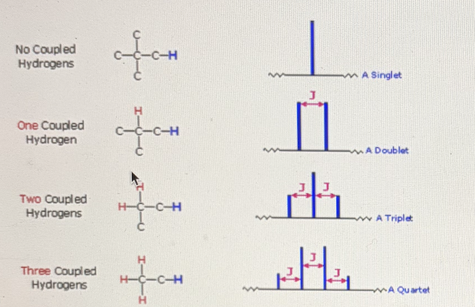 <p>The rule for signal splitting for the number of adjacent protons is N + 1 where N is the number of adjacent protons.</p><p>For a singlet (no splitting), you would have no adjacent protons because 0+1 = 1 signal</p><p>For a doublet, there would be 1 adjacent proton.</p><p>For a triplet, there would be 2 adjacent protons.</p><p>For a quartet, there would be 3 adjacent protons.</p>