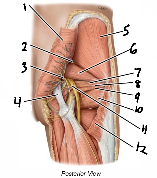 <p>5</p>