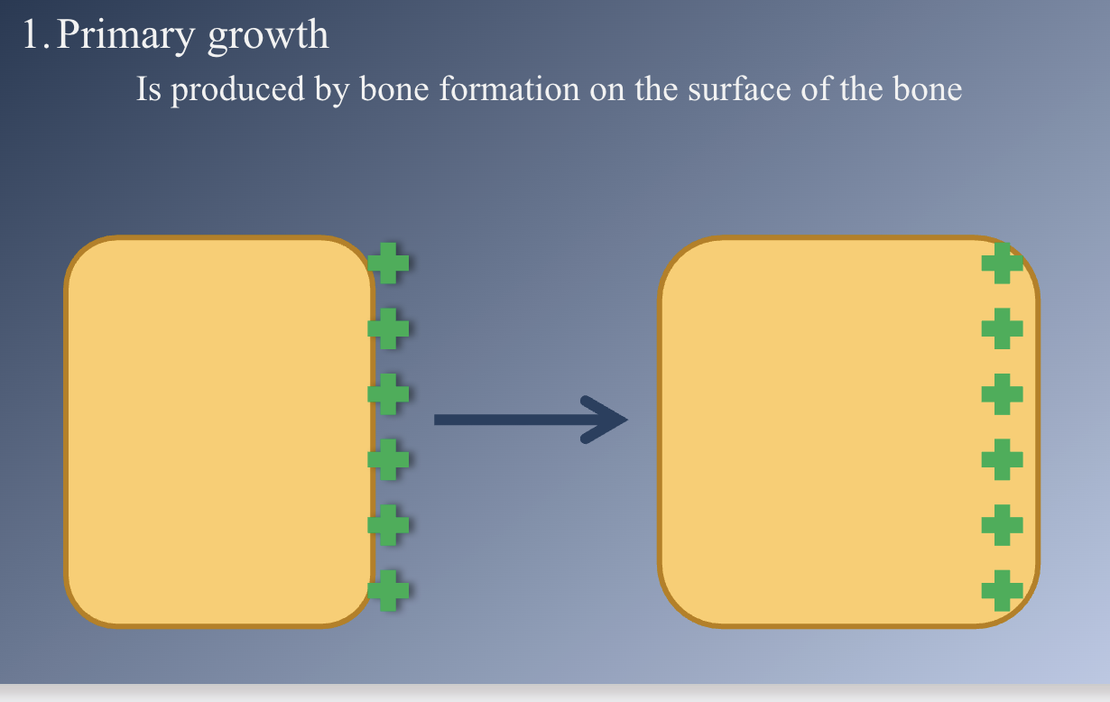 <p>Types of growth</p>