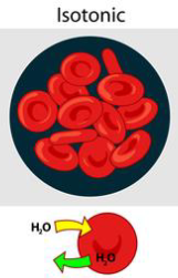 <p>Isotonic Solution</p>