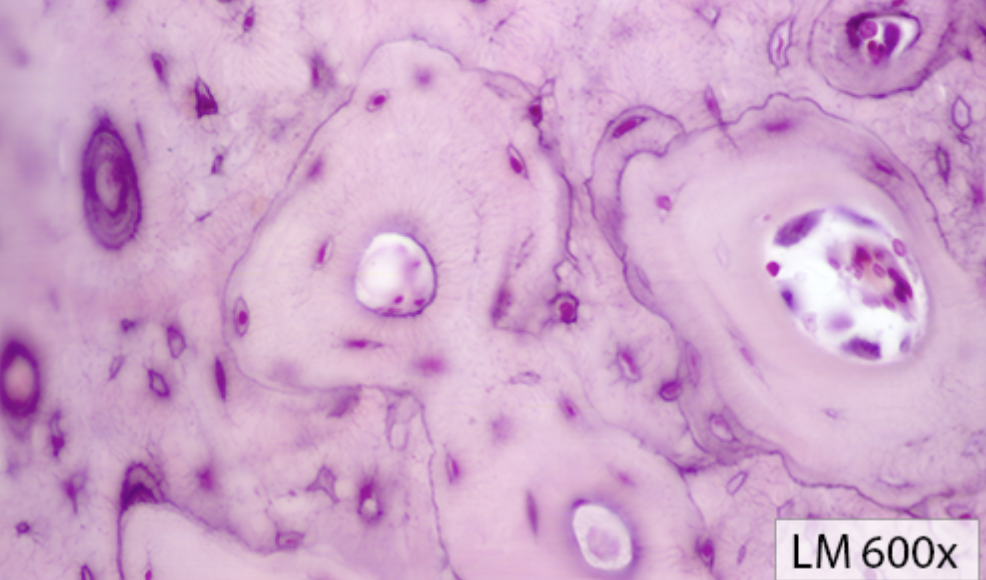 <p>What kind of CT is this?</p>