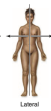 <p>lateral</p>