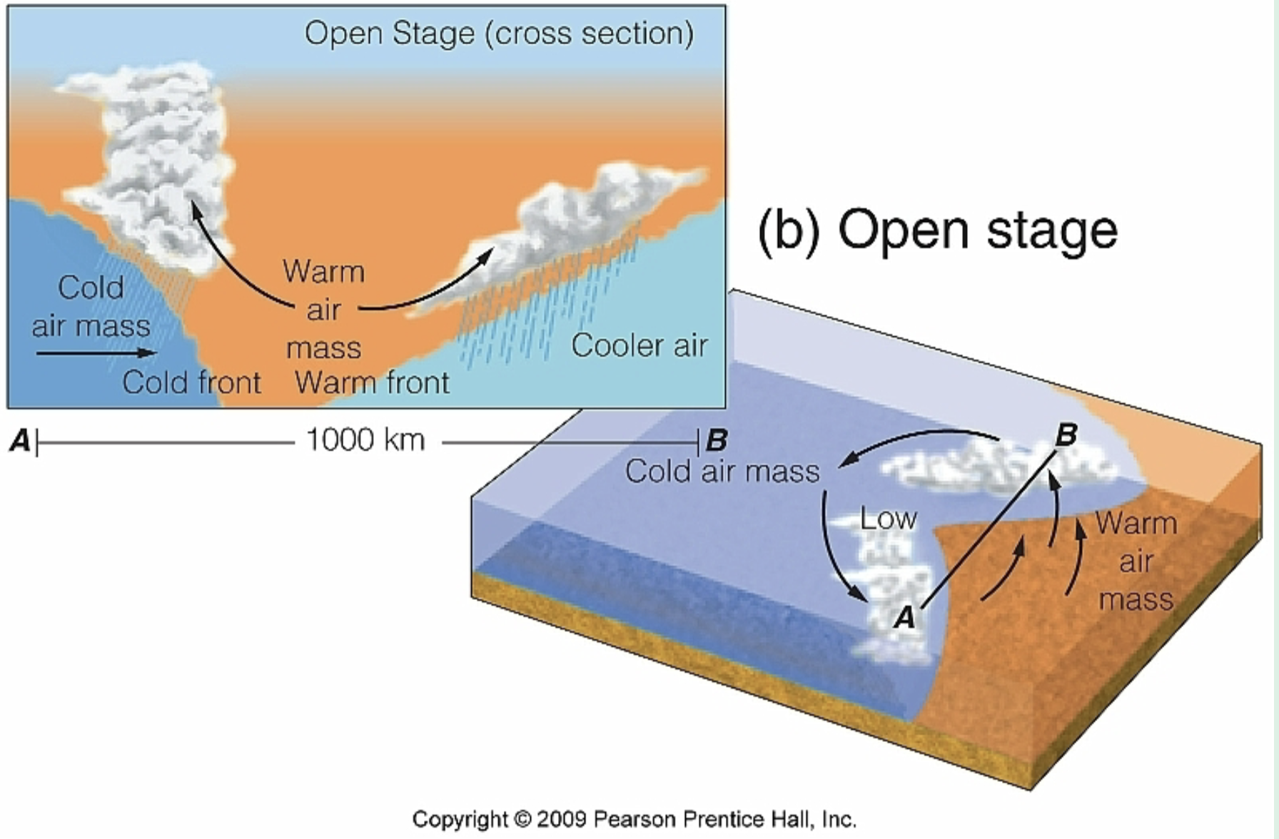 <p><strong>second stage of formation of midlatitude cyclone </strong></p><p>• Cold air moves south (along cold front)</p><p>• Warm air moves north (along warm front)</p><p>• Gives counterclockwise winds around low pressure</p>