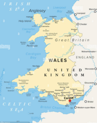 <p>Cardiff</p>